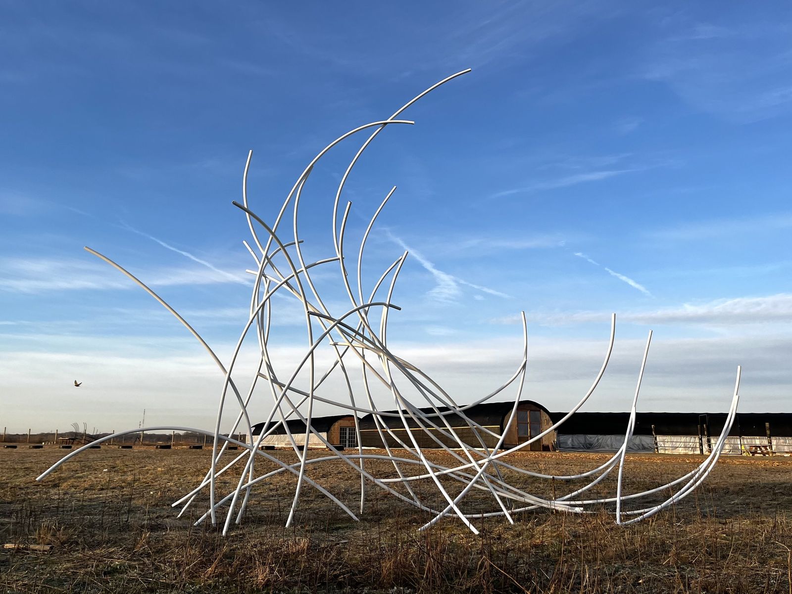 A Gust of Wind