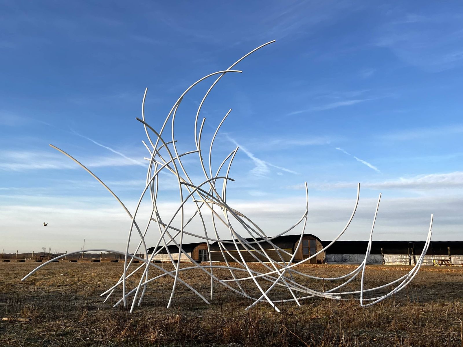 A Gust of Wind