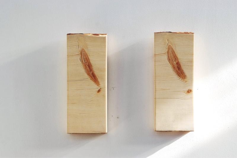 同根生